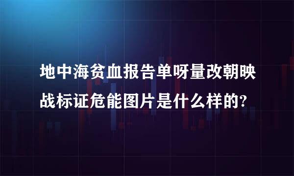 地中海贫血报告单呀量改朝映战标证危能图片是什么样的?