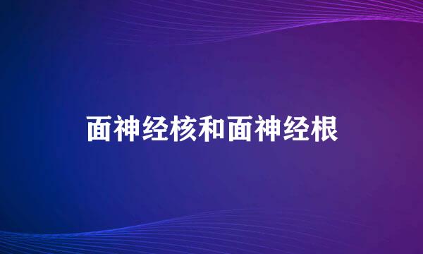 面神经核和面神经根