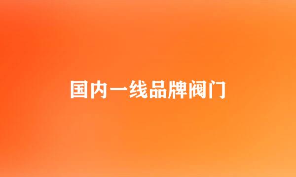 国内一线品牌阀门