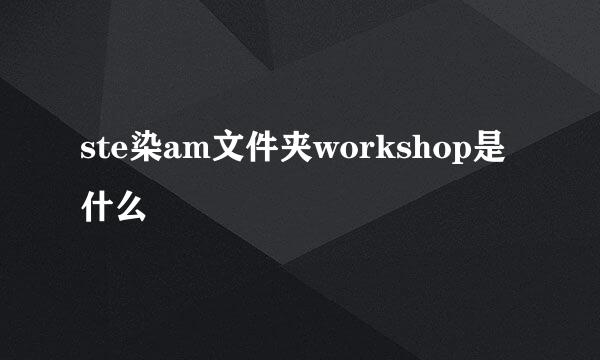 ste染am文件夹workshop是什么