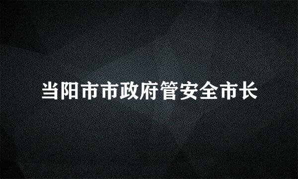 当阳市市政府管安全市长