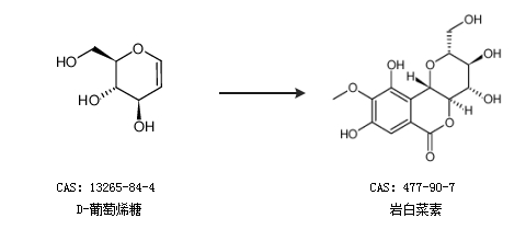 岩白菜素的合成路线有哪些？