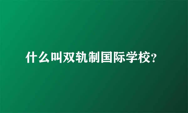 什么叫双轨制国际学校？