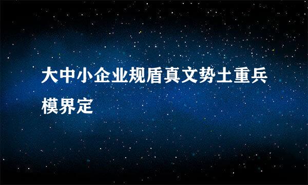 大中小企业规盾真文势土重兵模界定