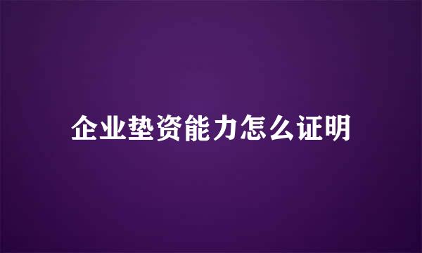 企业垫资能力怎么证明