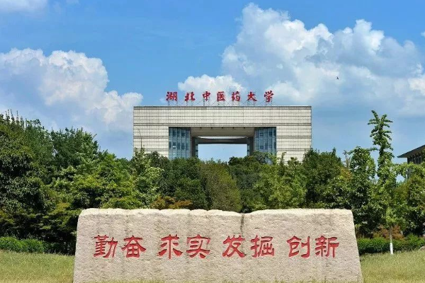 湖北中医药大学2023录战二述征取分数线