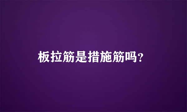 板拉筋是措施筋吗？