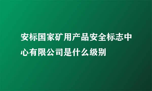 安标国家矿用产品安全标志中心有限公司是什么级别