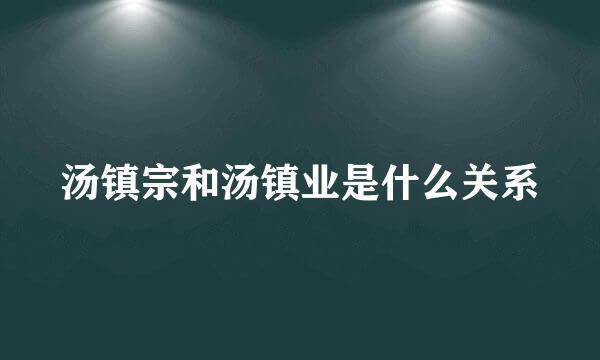 汤镇宗和汤镇业是什么关系