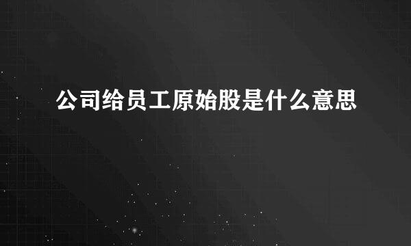 公司给员工原始股是什么意思