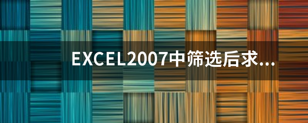 EXCEL2007中筛选后求和，如何自动使用subtotal函数？