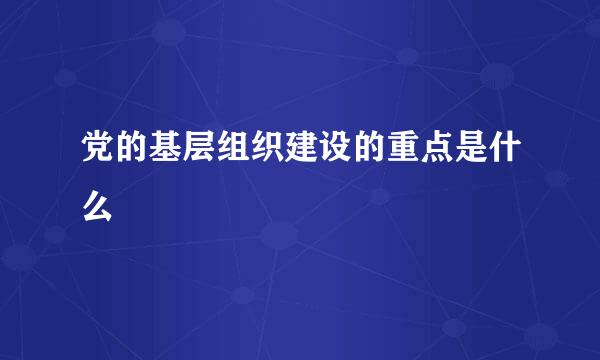 党的基层组织建设的重点是什么