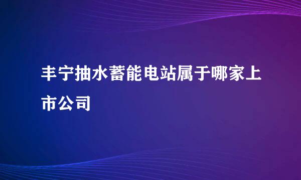 丰宁抽水蓄能电站属于哪家上市公司