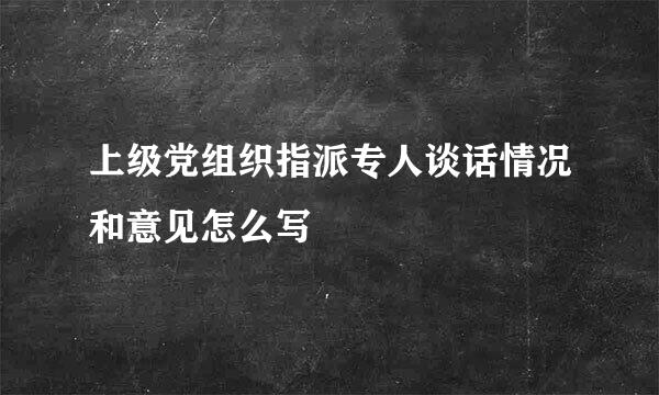 上级党组织指派专人谈话情况和意见怎么写