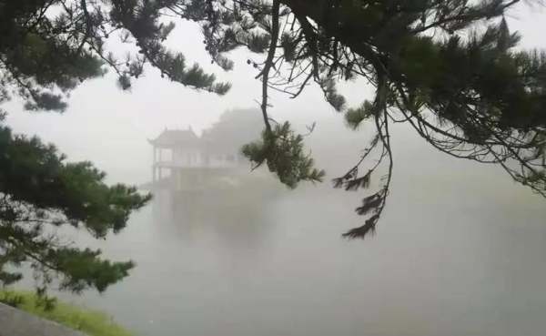 庐山烟雨浙江潮全诗词赏析是什么?