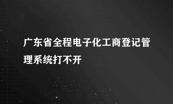 广东省全程电子化工商登记管理系统打不开