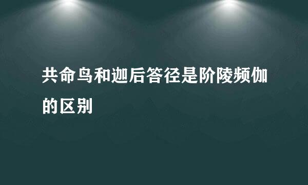 共命鸟和迦后答径是阶陵频伽的区别