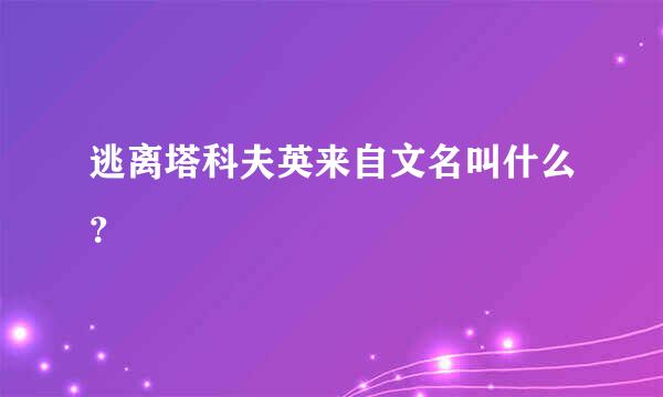 逃离塔科夫英来自文名叫什么？