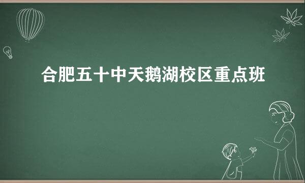 合肥五十中天鹅湖校区重点班