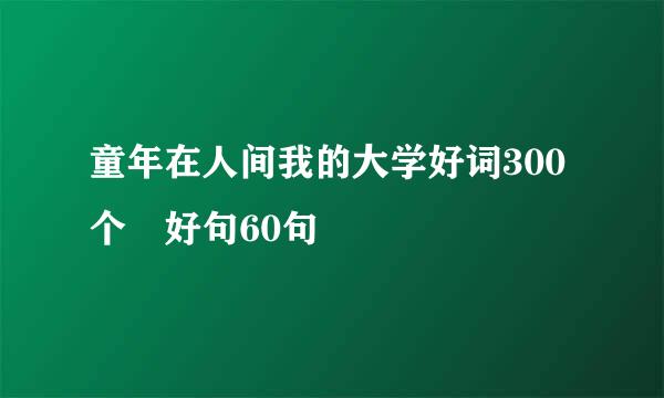 童年在人间我的大学好词300个 好句60句