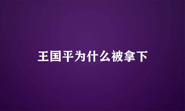 王国平为什么被拿下