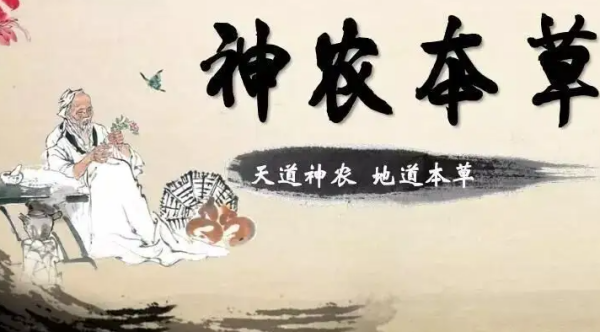 《神农本草经》作者是谁？