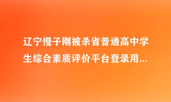 辽宁慢子刚被杀省普通高中学生综合素质评价平台登录用电脑怎么登录