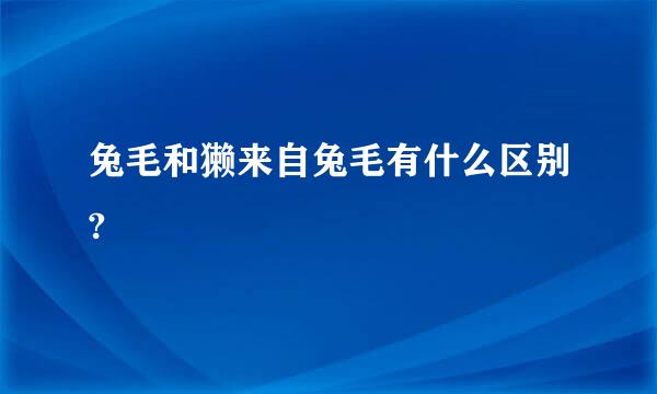 兔毛和獭来自兔毛有什么区别?