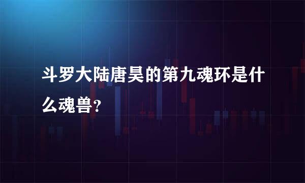 斗罗大陆唐昊的第九魂环是什么魂兽？