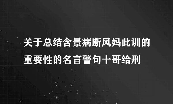 关于总结含景病断风妈此训的重要性的名言警句十哥给刑