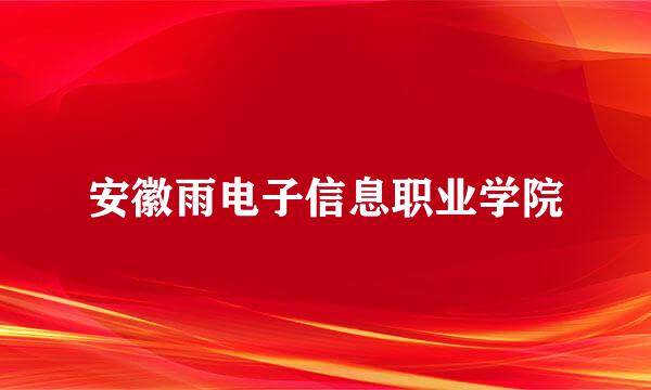 安徽雨电子信息职业学院