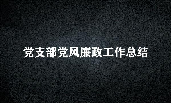 党支部党风廉政工作总结