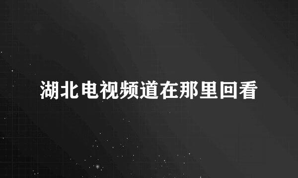 湖北电视频道在那里回看