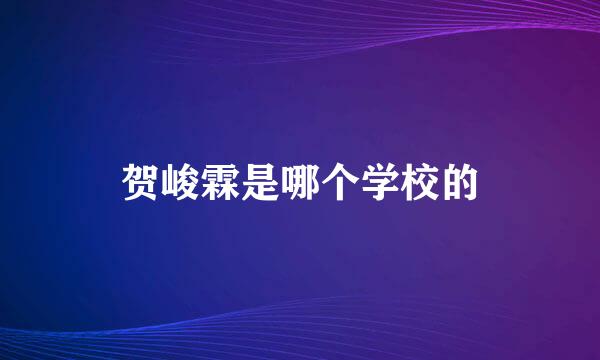 贺峻霖是哪个学校的