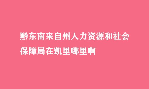 黔东南来自州人力资源和社会保障局在凯里哪里啊