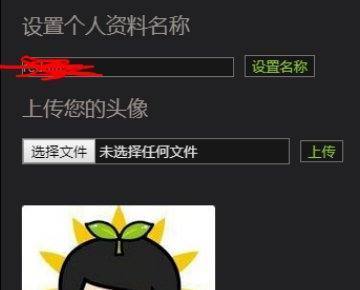 《CSGO》自己的头像显示不头兰稳席溶想资烈出来怎么办?