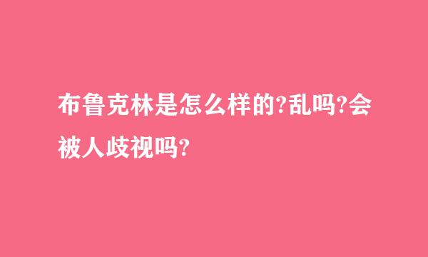 布鲁克林是怎么样的?乱吗?会被人歧视吗?