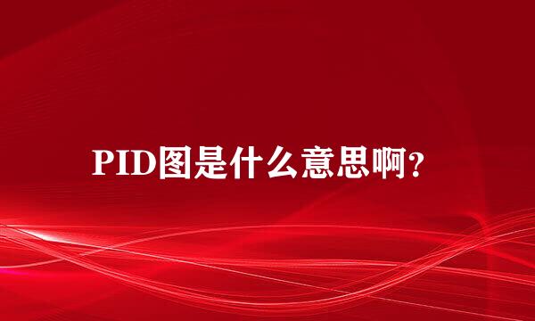 PID图是什么意思啊？