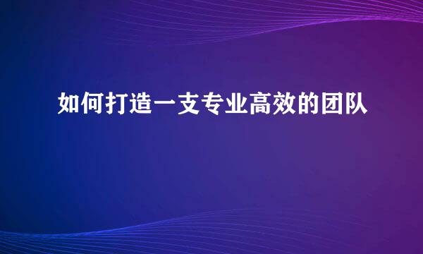 如何打造一支专业高效的团队