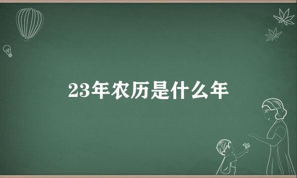 23年农历是什么年