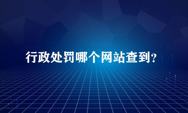 行政处罚哪个网站查到？