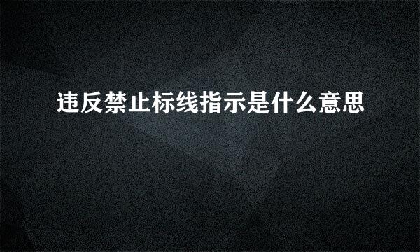 违反禁止标线指示是什么意思