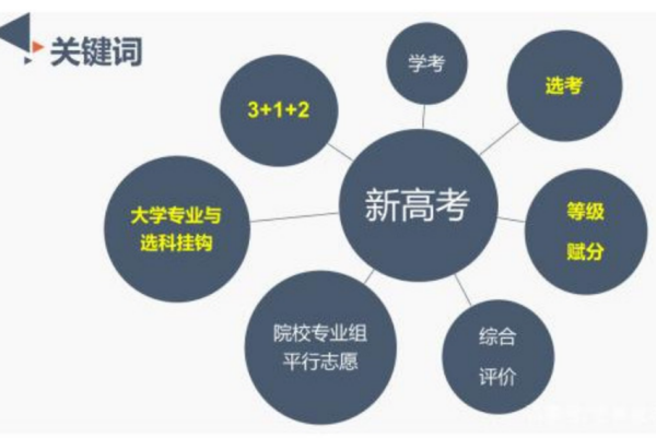 新高考96个志愿怎么填报