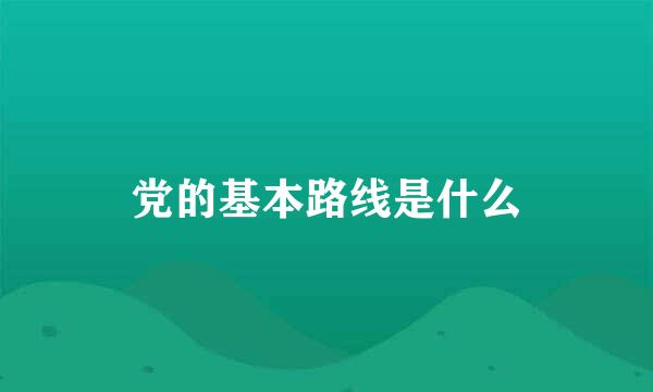 党的基本路线是什么