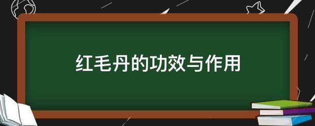 红毛丹的功效与作用