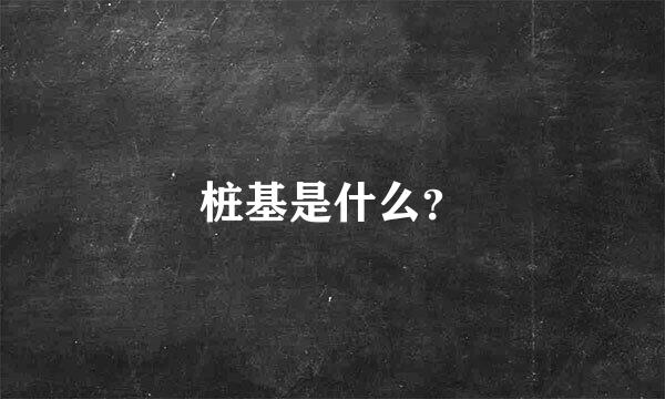 桩基是什么？