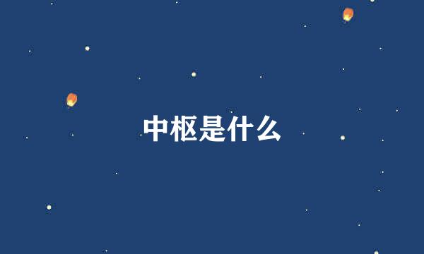 中枢是什么