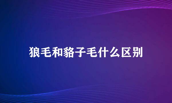 狼毛和貉子毛什么区别