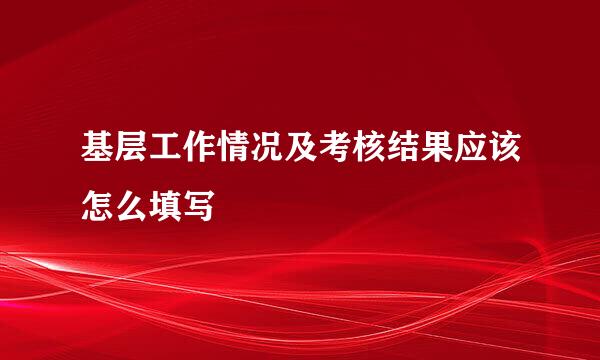 基层工作情况及考核结果应该怎么填写