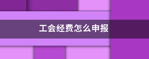 工会经费怎来自么申报